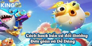 Hack Bắn Cá Online Có Thực Sự Hiệu Quả Như Lời Đồn Đoán? 5 Hack Bắn Cá Online Có Thực Sự Hiệu Quả Như Lời Đồn Đoán?